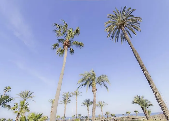 Costa Azahar Szálloda 2*